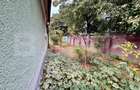 Casa 3 camere, 80 mp, curte 480 mp, zona Cantemir - 2