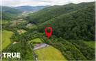 Teren intravilan 2.800 m² în Câmpu Cetății – liniște și natură - 11
