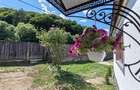 Casa Zizin , 221 mp teren , renovata - 12