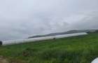 🌱 5.000 MP cu 4 SOLARII | EXPLOATAȚIE AGRICOLĂ | CĂLINEȘTI, ARGEȘ
