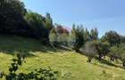 Comision 0% |Teren intravilan 2.700 mp | Sohodol – Bran |Castelul Bran
