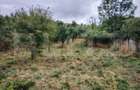 Teren intravilan, 1151 mp, zona Martinesti - 5