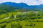 Teren 1ha Valea Glăjeriei - Rasnov | Comision 0% - 4