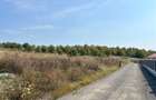 Teren Extravilan Sigmir – 2 Fronturi, Panoramă Deosebită,la Limita cu intravilan