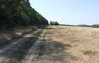 Clinceni-Ordoreanu-padure loturi  733mp - 7