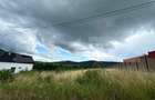 Teren de vânzare – Viișoara, spre Crainimăt | 2.500 mp | Intravilan - 2