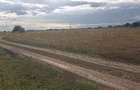 VANZARE TEREN INDUSTRIAL 35.000 MP- CENTURA MAGURELE ILFOV - 3