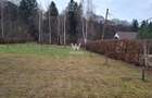 Teren intravilan, livada, langa padure,  pe Valea Avrigului - Sibiu - 7