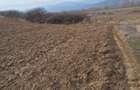 Teren extravilan de vanzare in suprafata de 15800 mp in Salistea, judet Alba - 1