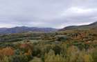 Teren ideal recreere/conectare cu natura/zona Fagaras/achitare in rate - 16