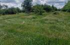 0% Comision!!! Teren intravilan Smeura - str Prunilor! - 5