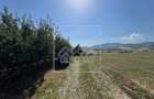 Casa de vanzare - Teren 2600 mp, 4 camere - Tocile