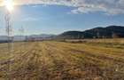 Vanzare teren intravilan 3000 mp, deschidere 28 m cu utilități Măgureni, Prahova - 4