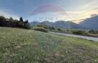 Teren 646mp intre Bran si Zarnesti (Tohanita,) intravilan - 15