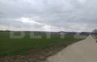 Teren 7.200 mp cu toate utilitățile la front asfaltat, Măn. Jitianu, Braniște