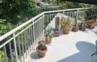 Vila teren 500 mp | Titeica – ideal sediu firma | langa Parcul Verdi - 9