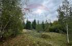Teren extravilan parcelabil Călățele Pădure, zona Dealu Negru - 2