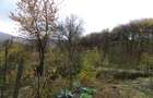 Casa cu 350 mp teren, la 5 km de oras - 10