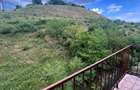Apartament de o camera, zona Stejarului-Floresti - 8