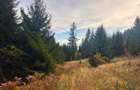 Vanzare 5,3 ha păsune deasupra Voronețului Suceava - Proiect Turistic - 12