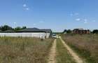 Teren intravilan 500 mp, Domnesti, str. Salciei - 5