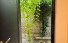 Spatiu Comercial - Cladire Istorica - 350 euro - Zona Unirii - 5