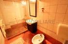 Decebal-Alba Iulia-complet renovat/mobilat-loc de parcare - 15