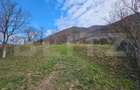 Teren intravilan generos de 4000 mp, cu priveliște montană, Cugir - 5