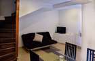Apartament situat zona pietonala Timisoara, Piata Unirii, direct proprietar - 12