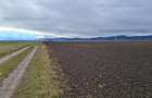 Teren extravilan 2,9 HA,intre Cristian si Vulcan - 6