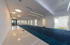 Vila Capo | Luxury offices 1800 mp | Dorobanti Capitale - 6