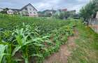 Teren de vanzare intravilan Bistrita 8 ari - 4