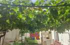 Casă individuala cu vedere catre muntii Postavaru de inchiriat - 9
