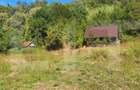 Teren de vanzare, 4847 mp, cabana, zona Nadrag - 11
