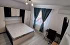 Apartament 1 camera Lunca Cetatuii - 1