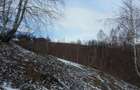 Moeciu, Drumul Carului, teren 3750 mp, 75000 euro - 10
