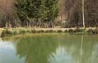 Vila premium cu lac privat si panorama catre Masivul Postavaru | Cheile Rasnoave - 11