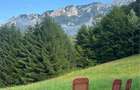 Vila la munte Brasov-Zarnesti, Piatra Craiului, Plaiul Foii, Gym, sauna, jacuzzi - 4