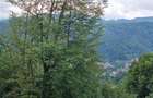 De vanzare: Apartament 3 camere premium Belveo - 30