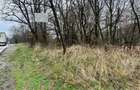 Teren intravilan 6.500 m²–Deschidere 144 ml drum european E81, km 35, Morăresti - 5