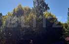 Teren intravilan, 2.000 mp, zona Geamana - Codlea