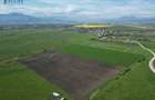 Investitie! 43.100 mp intravilan, 3 loturi, accesibil din str. Barsei, Stupini - 4