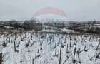 Teren intravilan 6850 mp Simnic, Izvor - 5