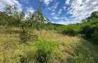 Teren intravilan, 3694 mp., zona Primaria Bocsa, COMISION ZERO% PT. CUMPARATOR. - 11