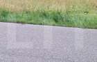 Teren la sosea, 5200 mp, localitatea Jena - 5