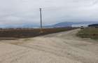 Teren 2100mp in DN 13-strada Durau, PUZ-prestari servicii, hale, depozitare! - 5