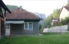 10 hectare teren plus casa la munte in Buces, Hunedoara - 2