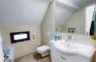Vila Rompetrol Traian - 11