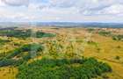 Teren extravilan de vânzare - Valea Avrigului, Sibiu - 10
