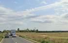 Cazasu || 3.7 Ha || Braila || Teren intravilan || Logistic Development - 3